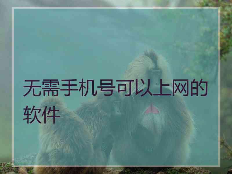 无需手机号可以上网的软件