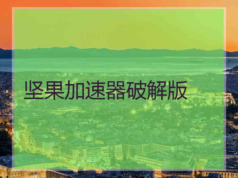 坚果加速器破解版
