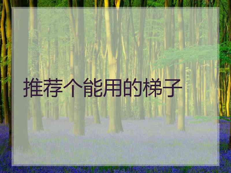 推荐个能用的梯子