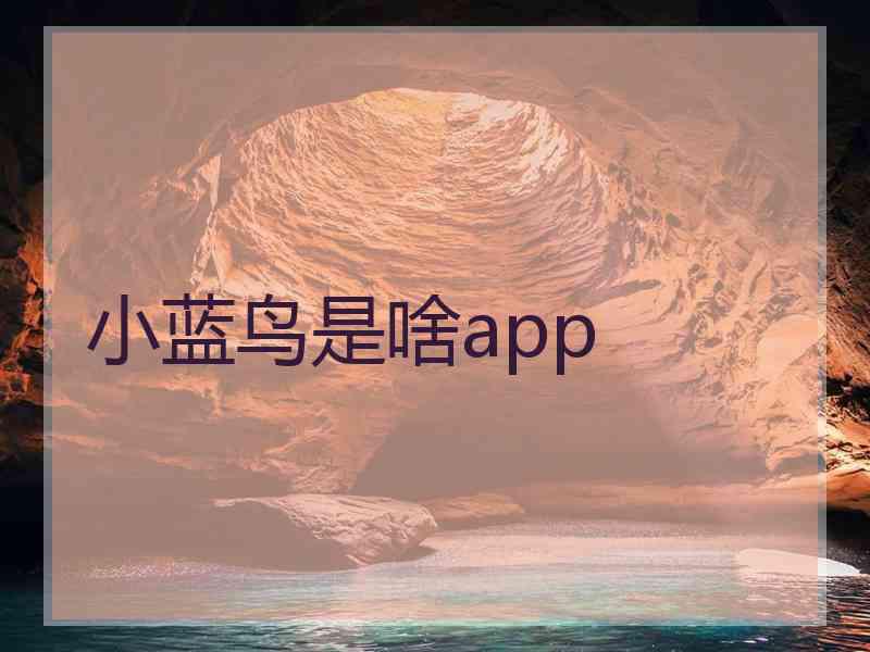 小蓝鸟是啥app