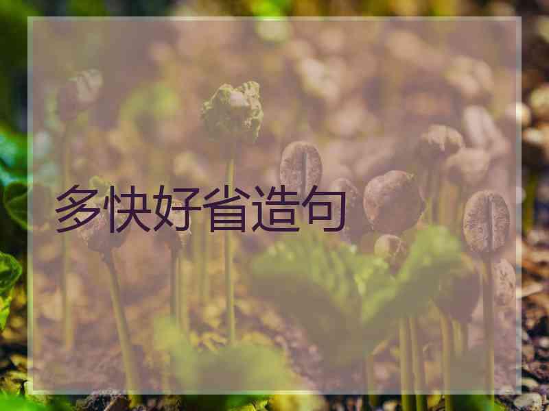 多快好省造句