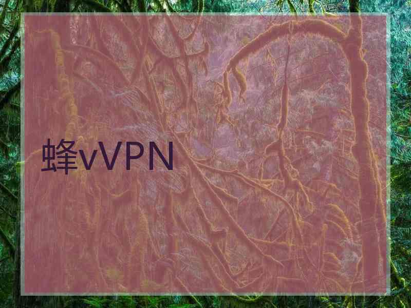 蜂vVPN