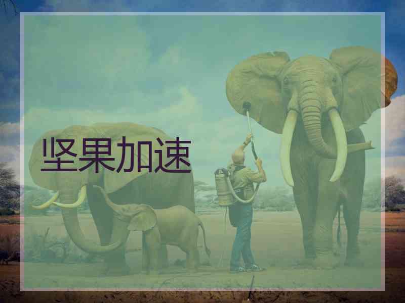 坚果加速