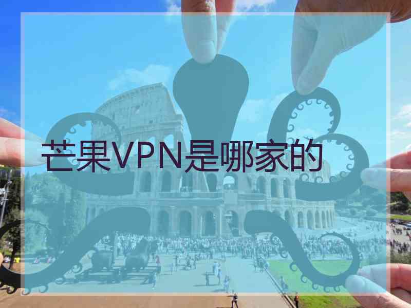 芒果VPN是哪家的