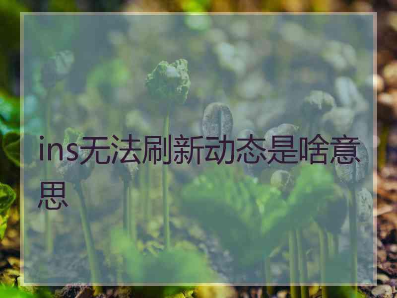 ins无法刷新动态是啥意思