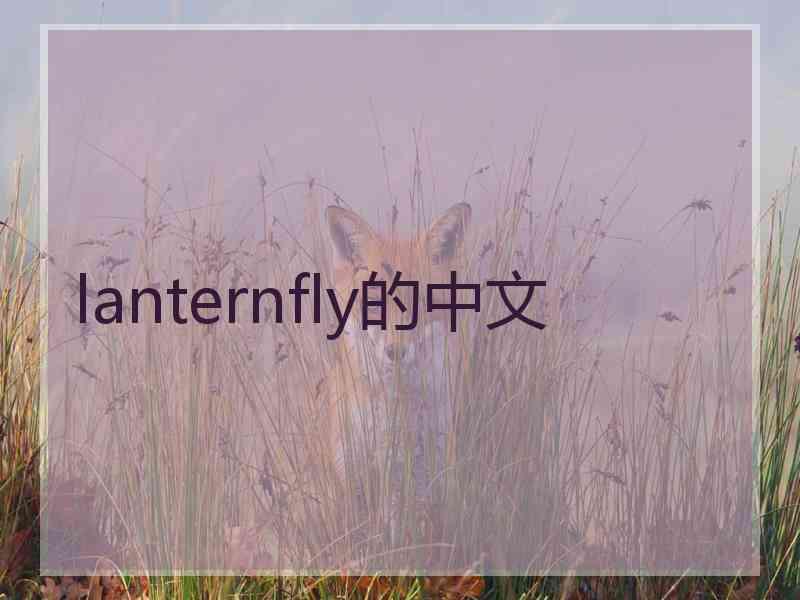 lanternfly的中文