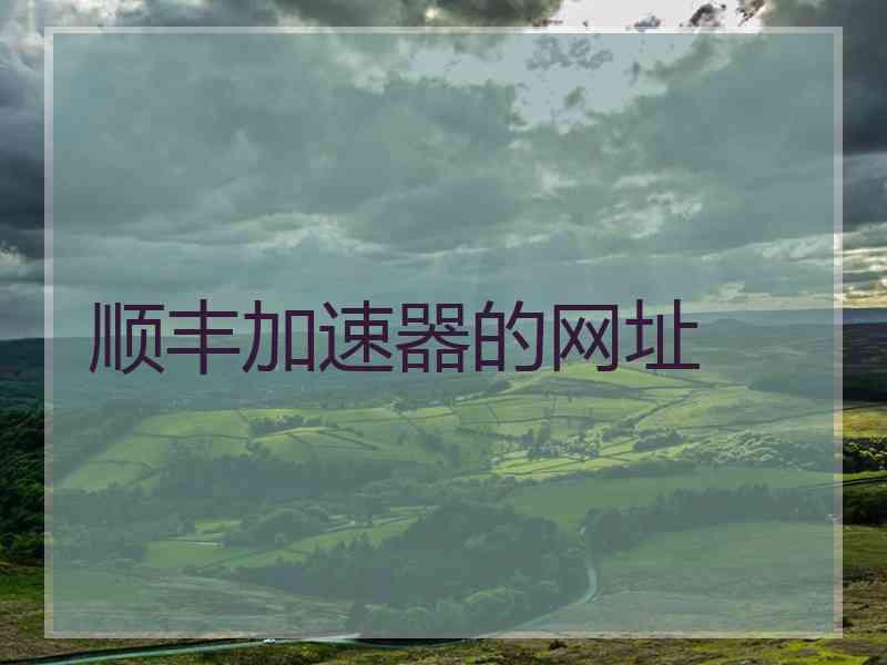 顺丰加速器的网址