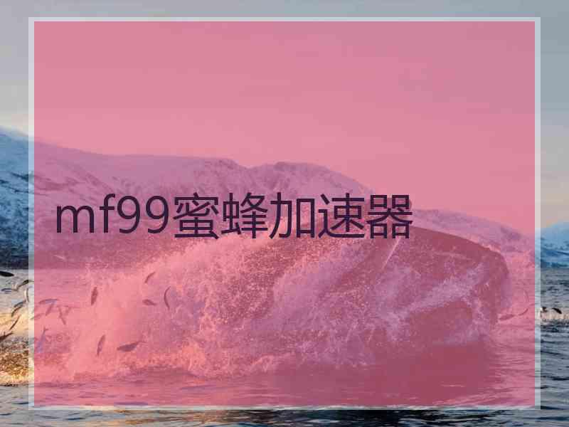mf99蜜蜂加速器