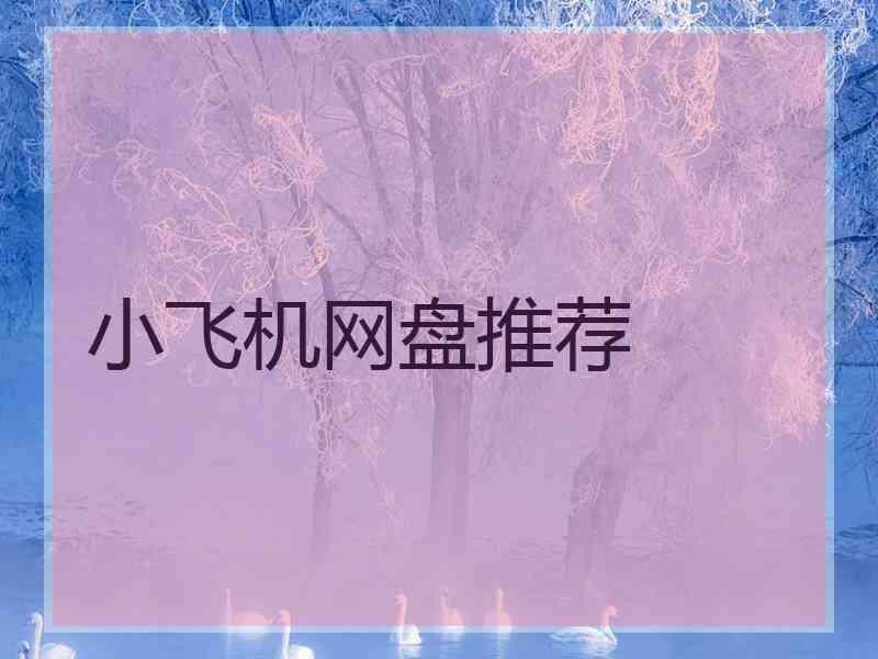 小飞机网盘推荐