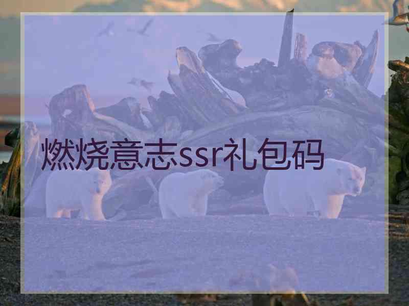 燃烧意志ssr礼包码
