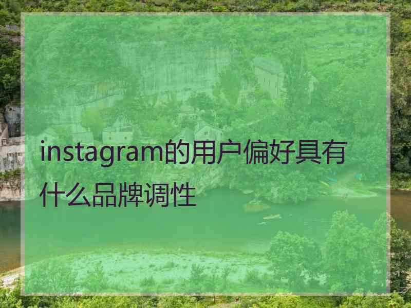 instagram的用户偏好具有什么品牌调性