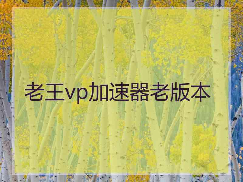 老王vp加速器老版本
