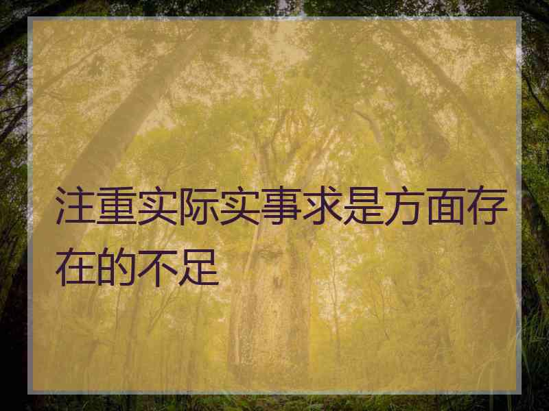 注重实际实事求是方面存在的不足