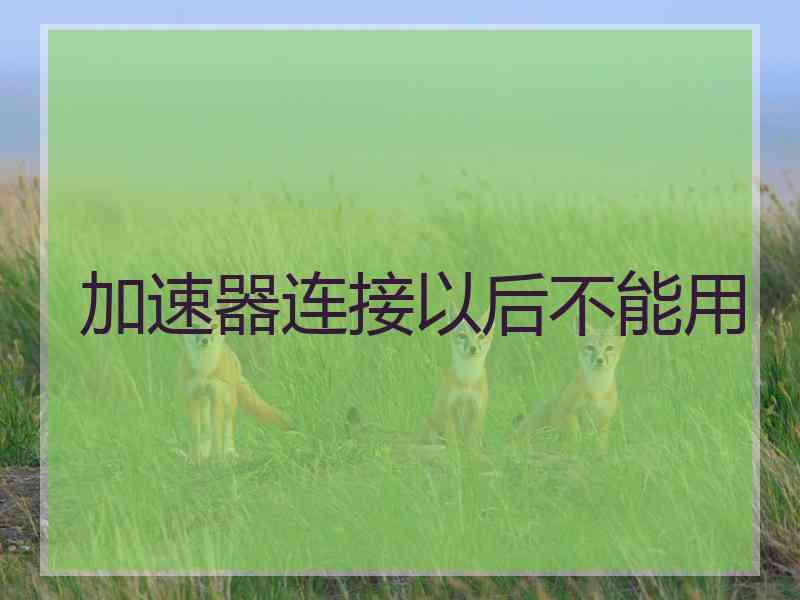 加速器连接以后不能用