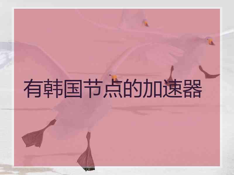 有韩国节点的加速器