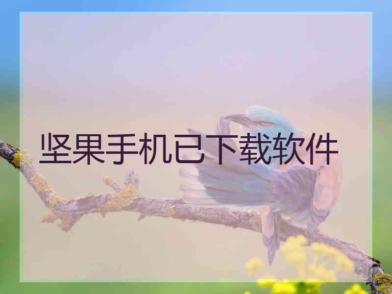 坚果手机已下载软件