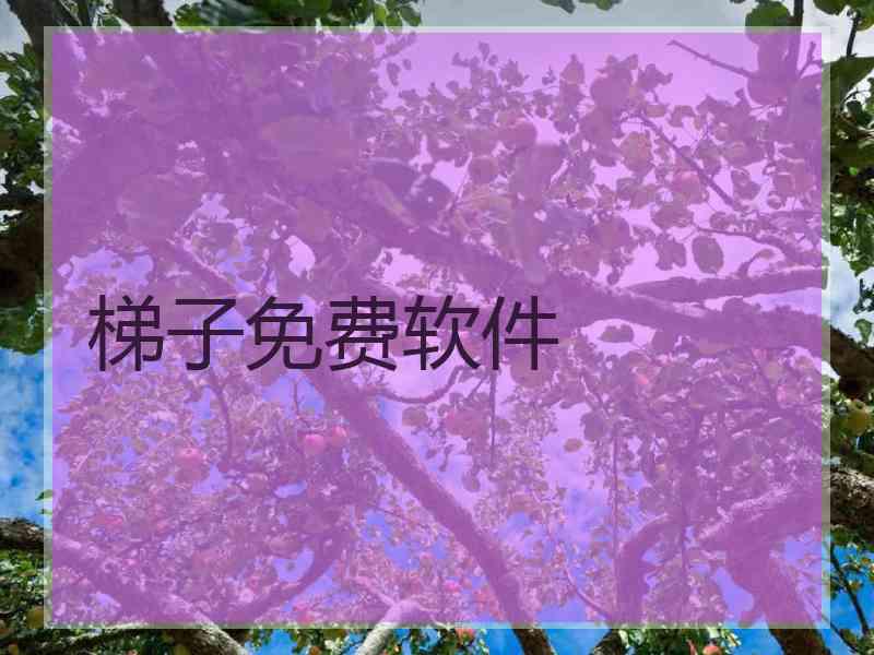 梯子免费软件