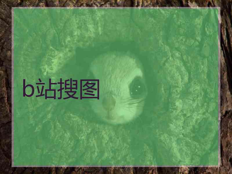 b站搜图