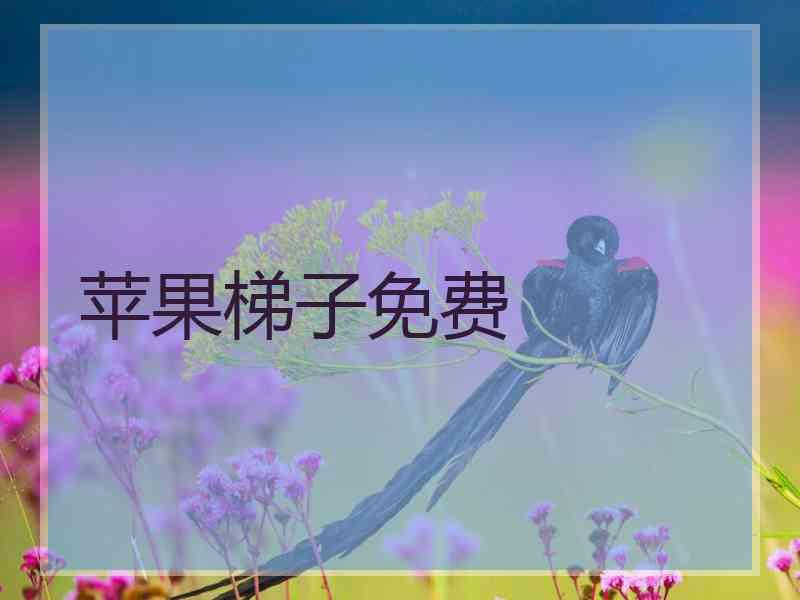 苹果梯子免费