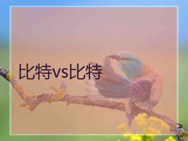 比特vs比特