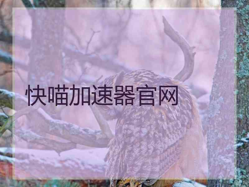 快喵加速器官网