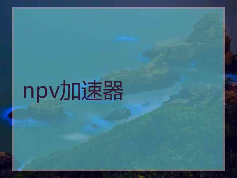 npv加速器