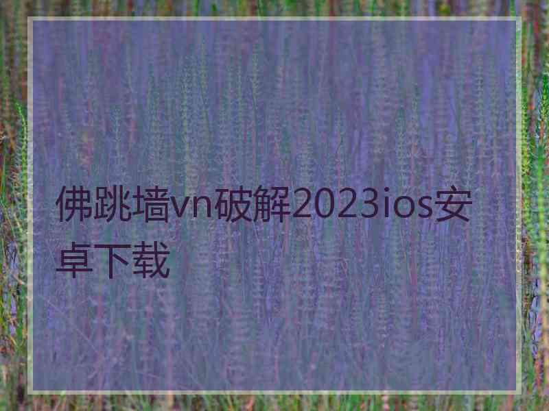 佛跳墙vn破解2023ios安卓下载