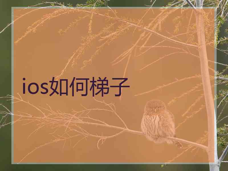 ios如何梯子