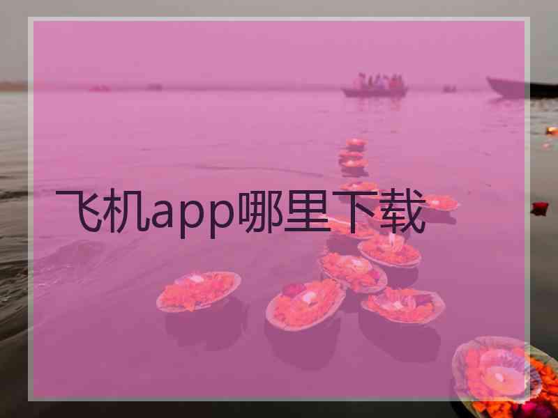 飞机app哪里下载