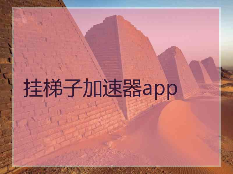 挂梯子加速器app