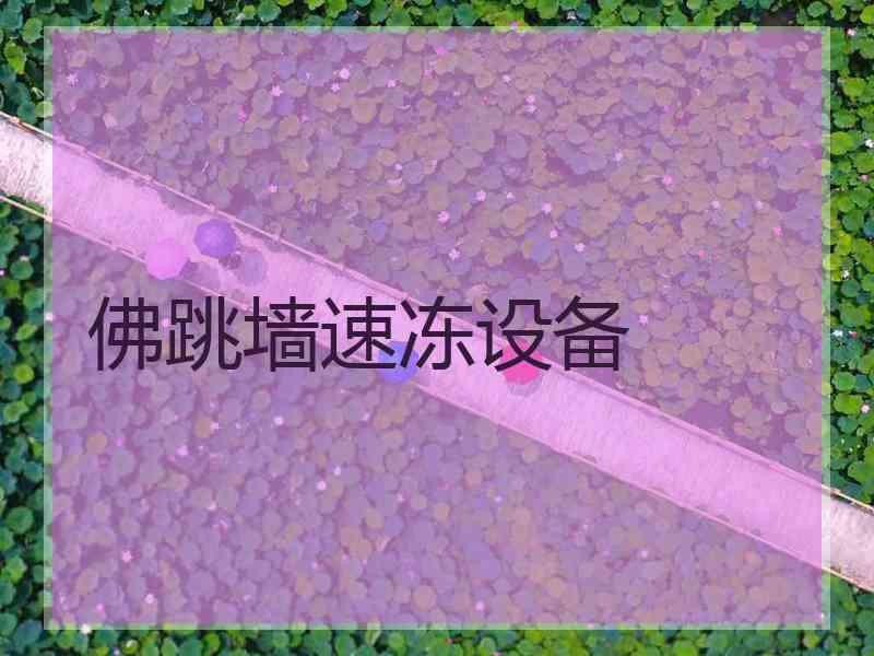 佛跳墙速冻设备