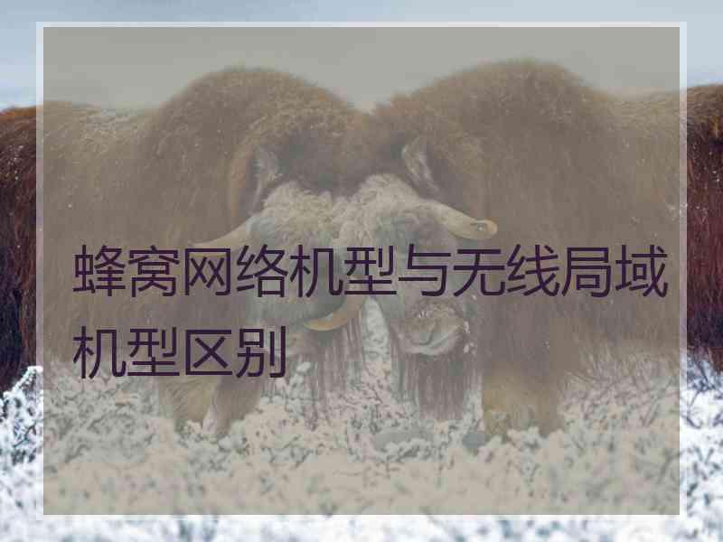 蜂窝网络机型与无线局域机型区别