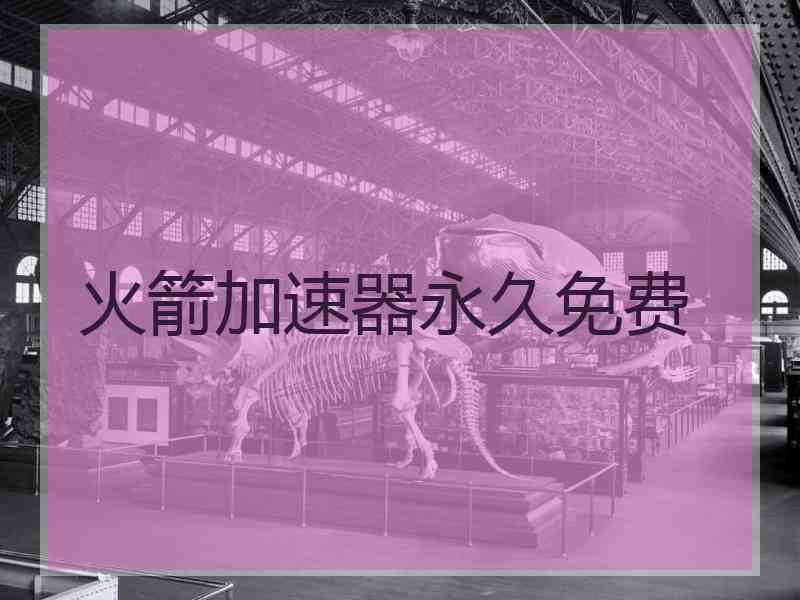 火箭加速器永久免费