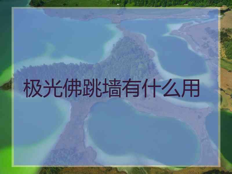 极光佛跳墙有什么用