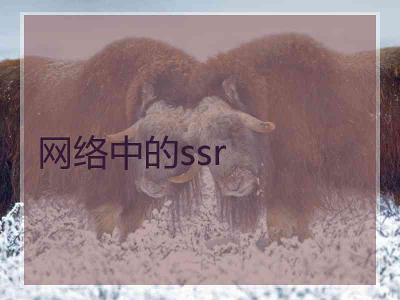 网络中的ssr