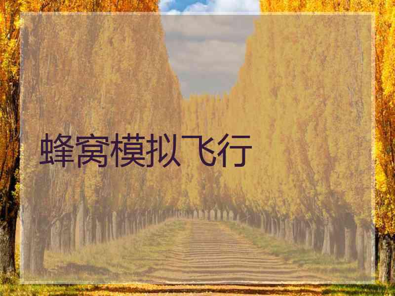 蜂窝模拟飞行