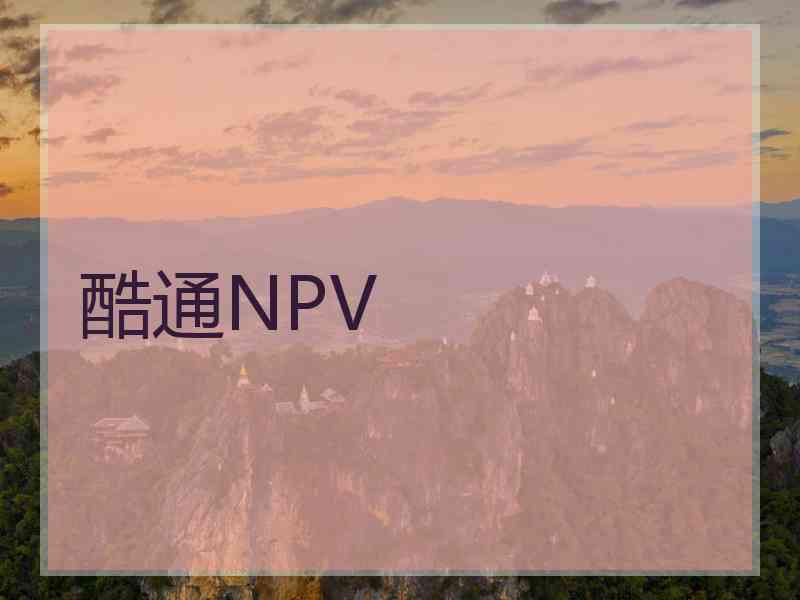 酷通NPV