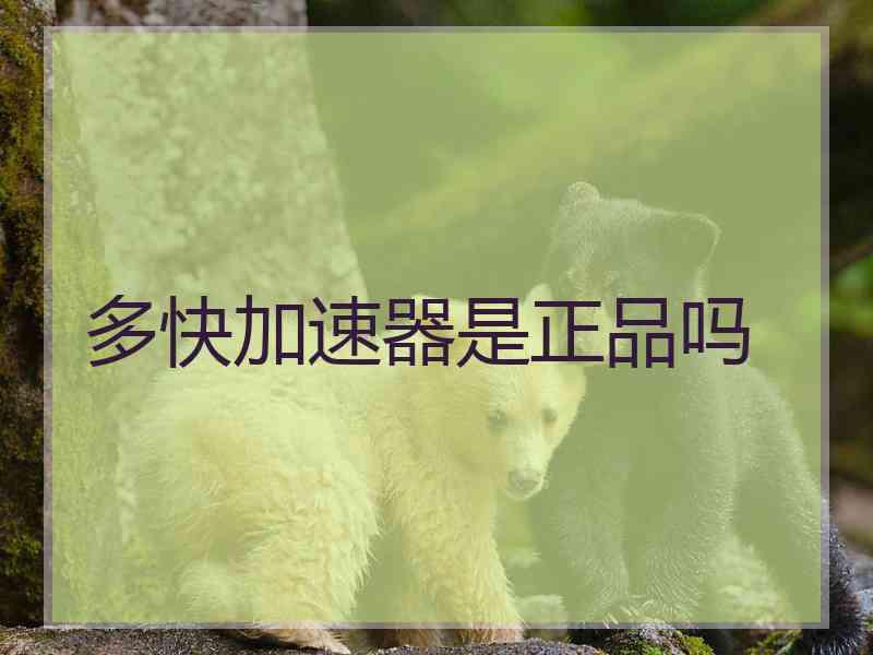 多快加速器是正品吗