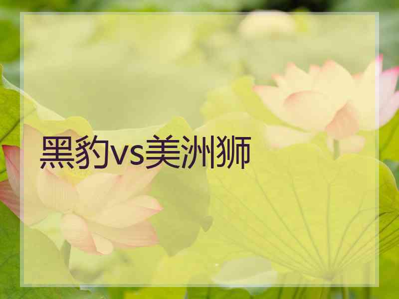 黑豹vs美洲狮