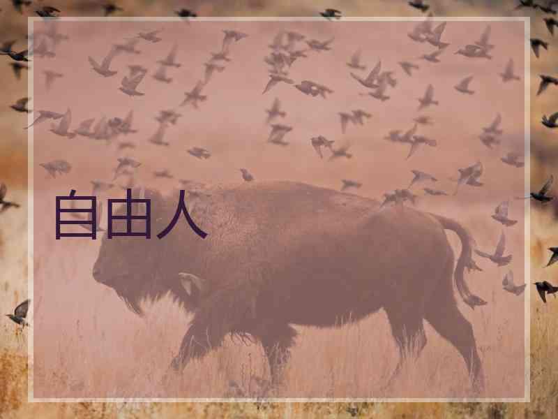 自由人