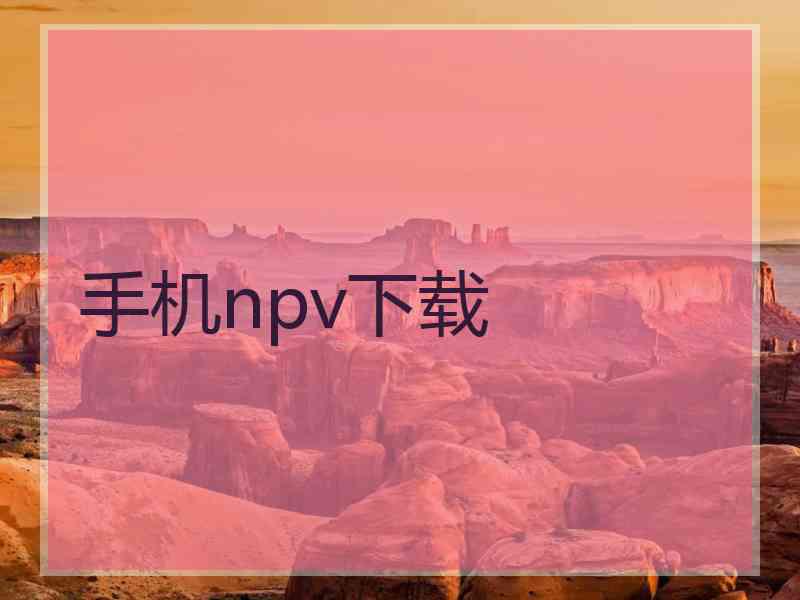 手机npv下载