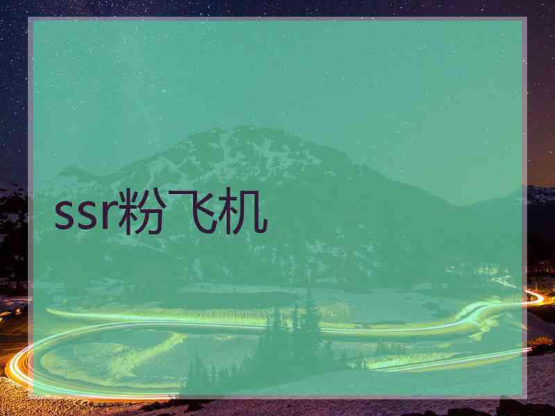 ssr粉飞机