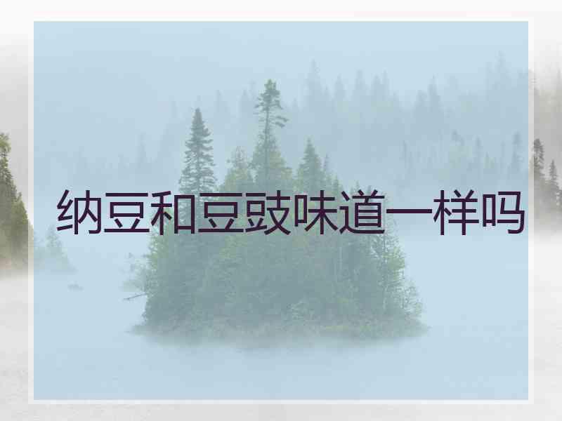 纳豆和豆豉味道一样吗