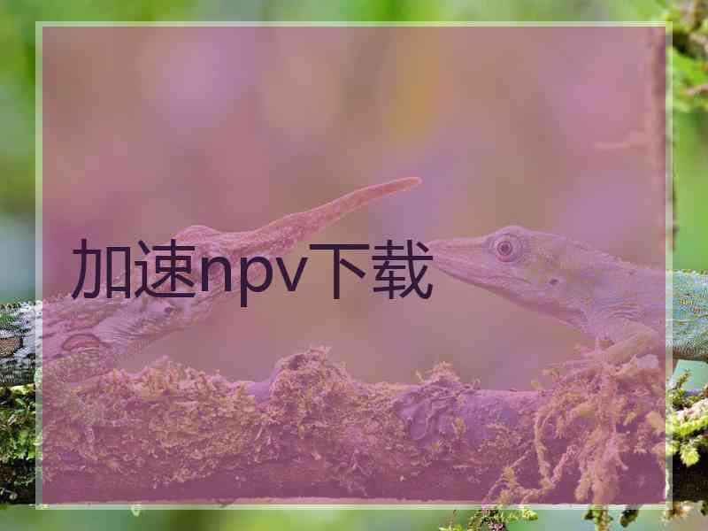 加速npv下载