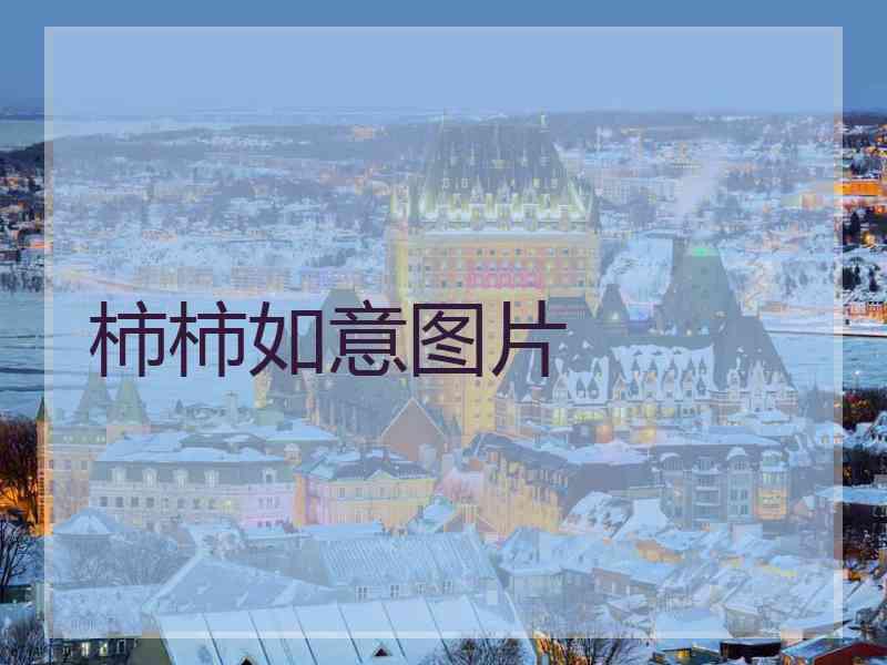 柿柿如意图片