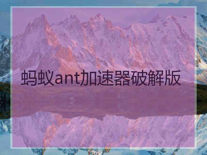 蚂蚁ant加速器破解版