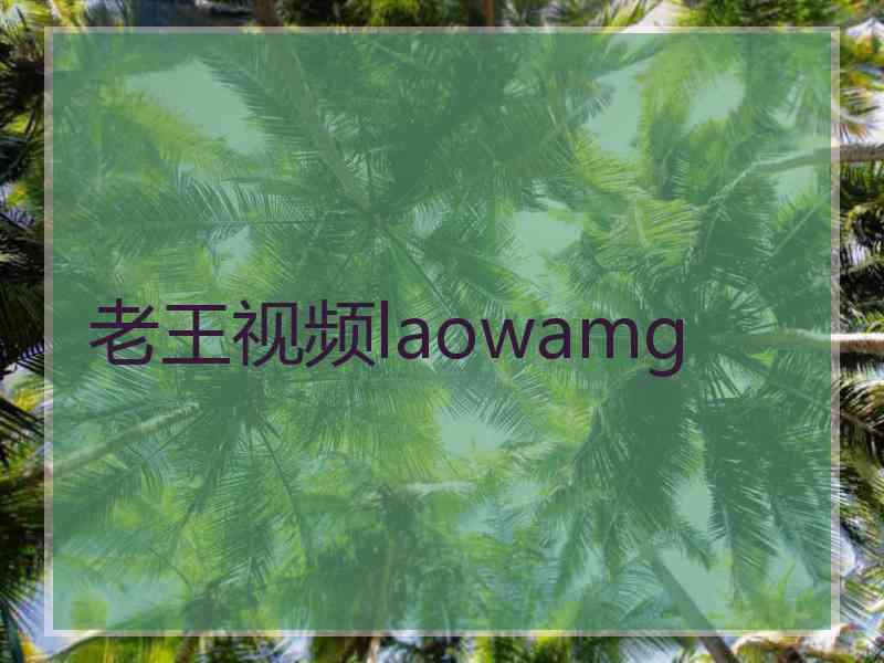 老王视频laowamg