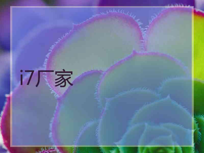 i7厂家