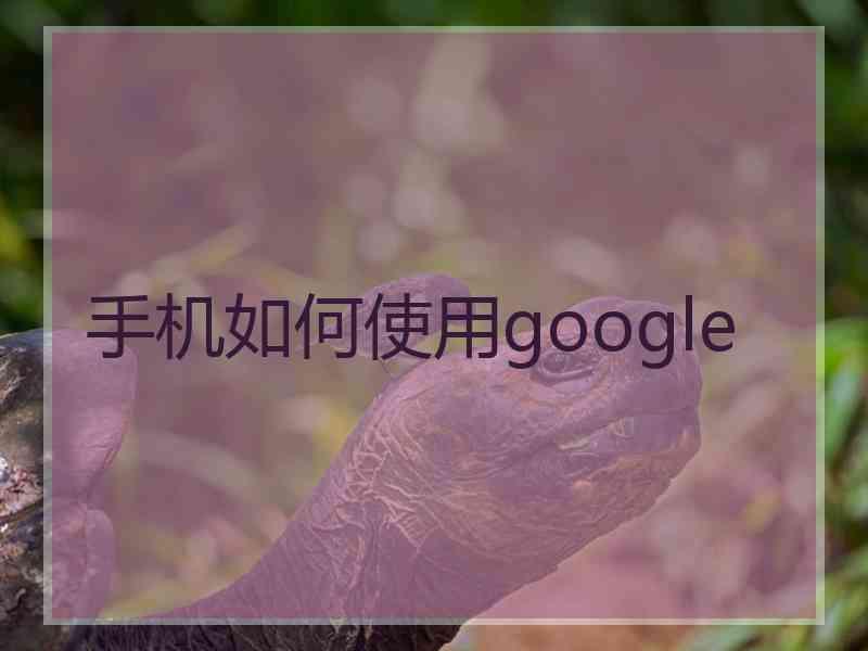 手机如何使用google