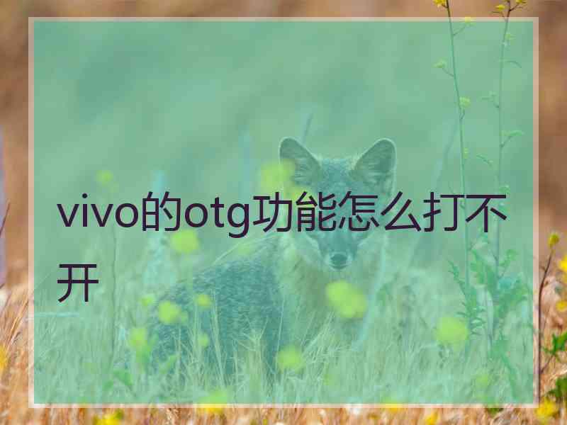 vivo的otg功能怎么打不开